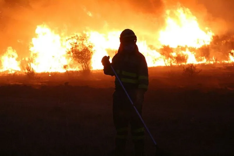 Un bombero forestal en el incendio en la Sierra de Béjar en 2017 - Archivo/Kiko Robles