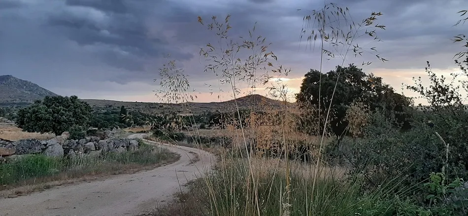 Mirando hacia dentro, paisajes del alma
