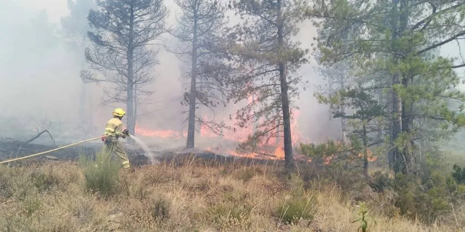 Los bomberos sofocan un fuego en Pedraza de Alba provocado por una colilla