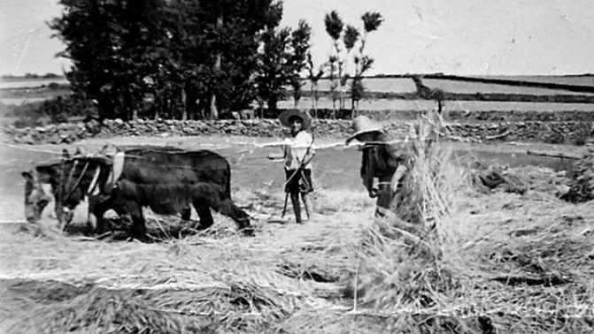 Tornando la parva (trabajo ya desaparecido)