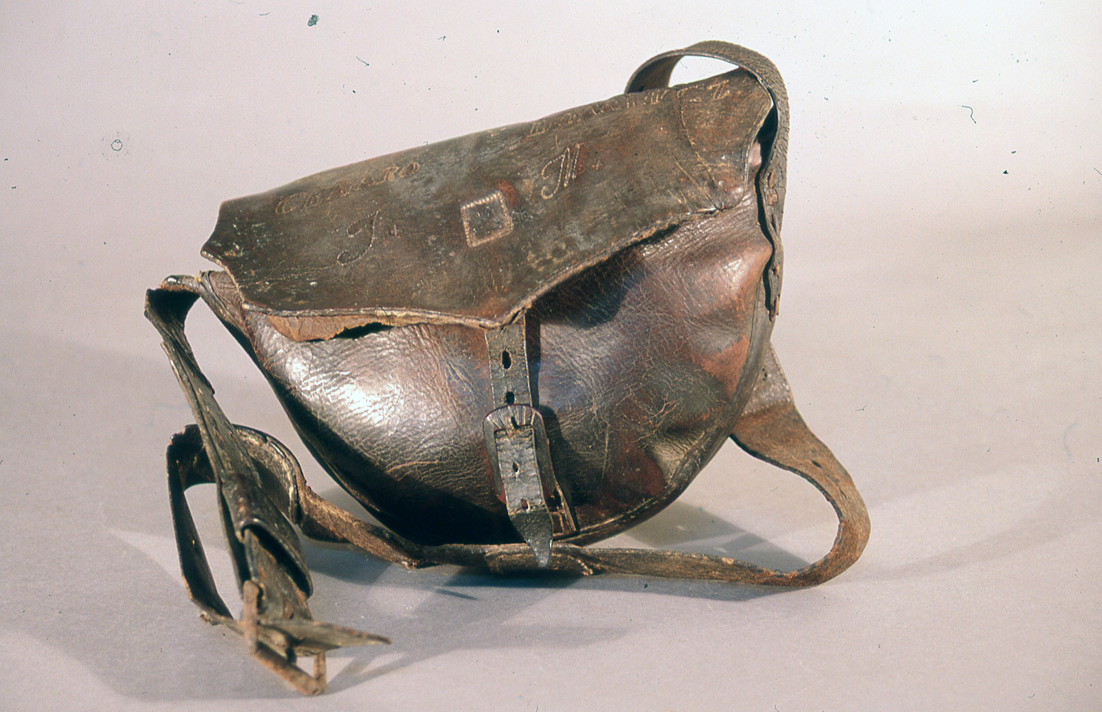 Las pieles en la vida pastoril 