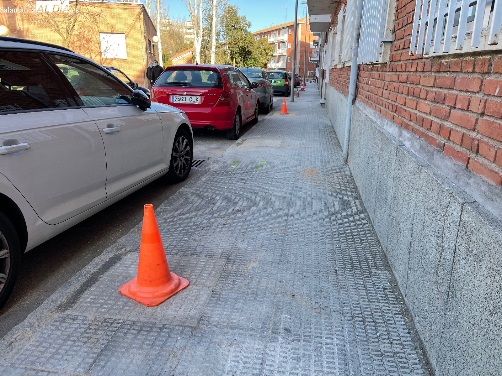 El Ayuntamiento plantará 16 nuevos árboles en Carlos I