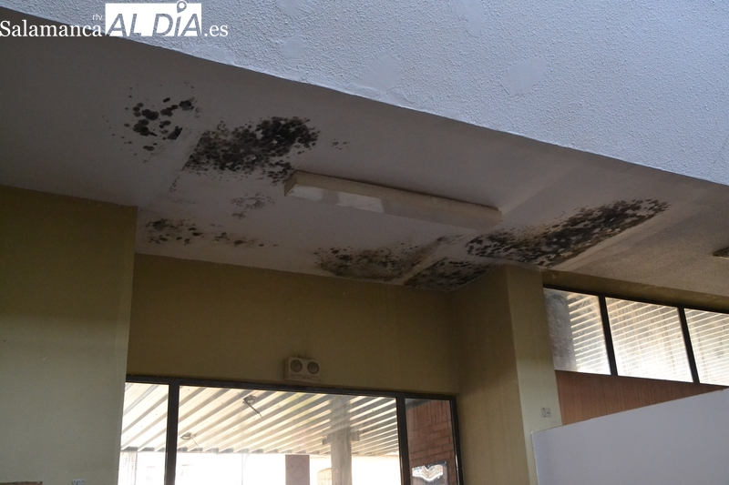 El PSOE lamenta el abandono de la Estación de Autobuses, dando una pésima imagen a los que llegan