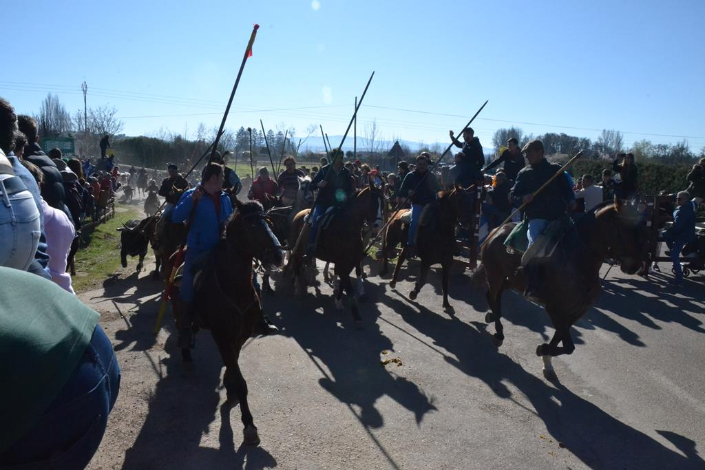 Ciudadanos abandona la Comisión Taurina por el menosprecio al que están siendo sometidos