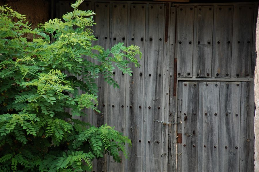 Nostalgia de convalecencia 