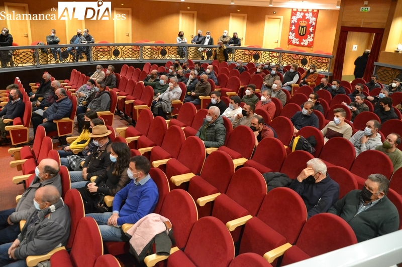 Los dos tablaos que estaban vacantes encuentran constructores