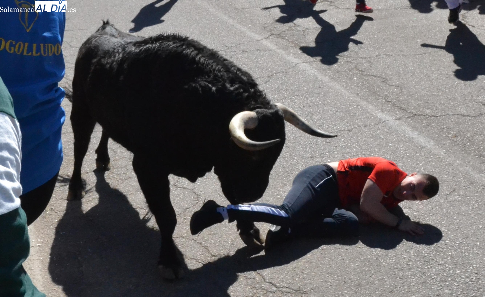 Salen también a licitación las pólizas de seguros del Carnaval 2022