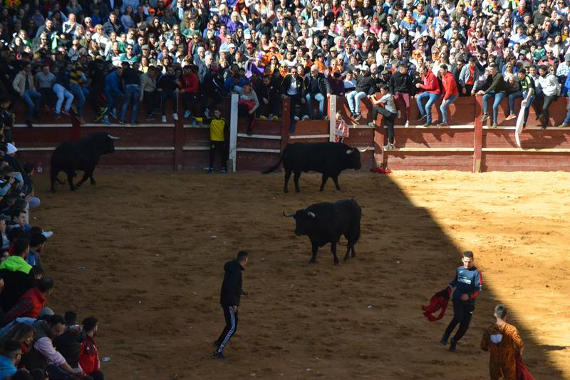 Fumata blanca al Carnaval del Toro