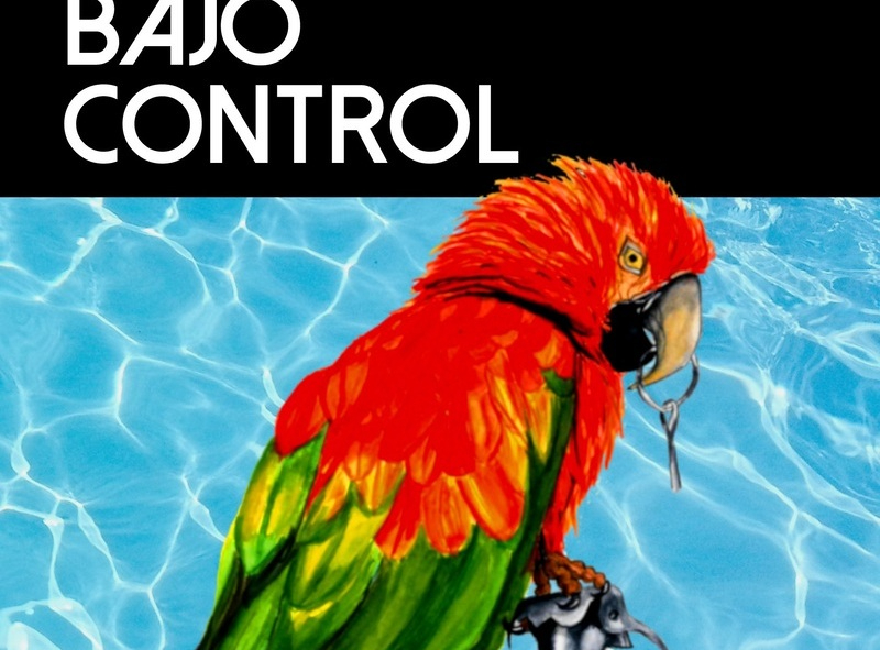 Bajo control, la última novela del escritor salmantino Ángel R. Barrios