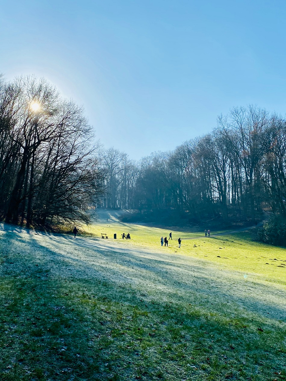 Buenos días, pobreza