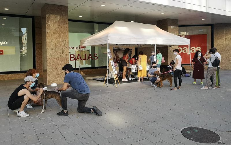 El Corte Inglés y la protectora ‘Siempre Fiel’ organizan una recogida de pienso para perros abandonados