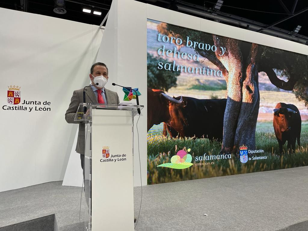 El reino del toro bravo, nuevo atractivo turístico para disfrutar de la dehesa charra