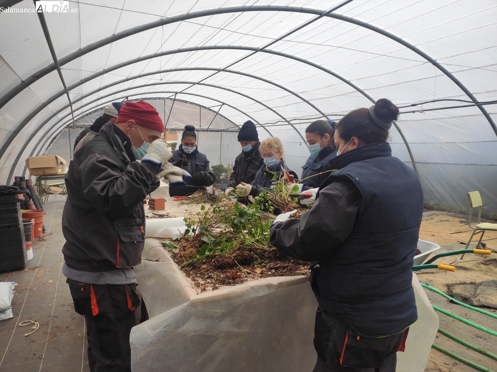Actividad formativa del AFE Restaura Verde realizado en Alba de Tormes