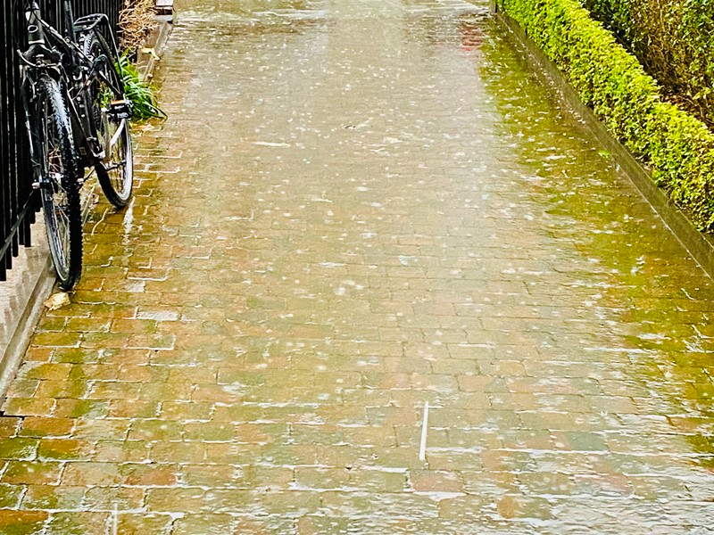 A favor de los cenizos