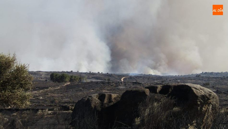 ASAJA Salamanca celebra el levantamiento del acotado de pastos tras el incendio de San Felices de los Gallegos