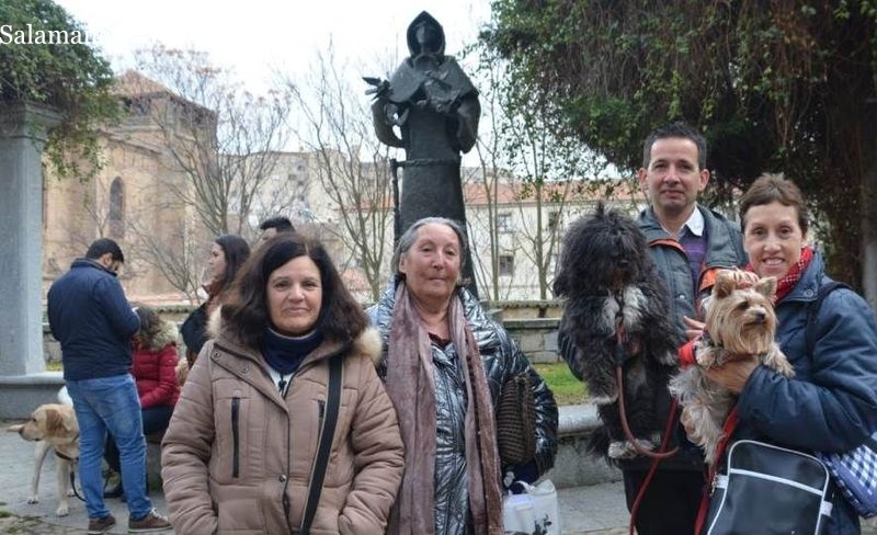 Suspendida por segundo año consecutivo la tradicional bendición de las mascotas por San Antón 