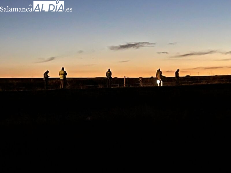 La autopsia confirma que el cuerpo encontrado en Gimialcón es el de  Iván Díaz