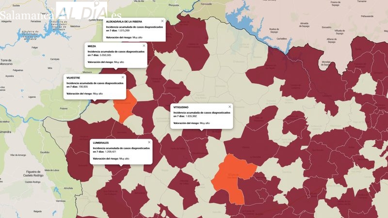 Las Arribes confirma la tendencia a la baja de contagios covid tras registrar 121 en la última semana