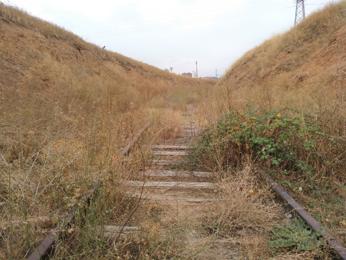 Camino al precipicio