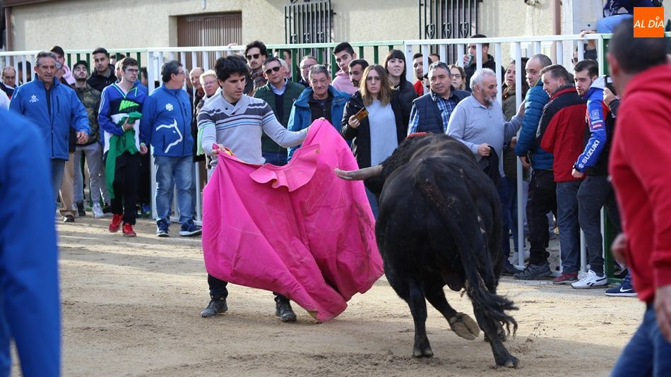 El Toro de San Blas vuelve a Babilafuente el próximo 5 de febrero