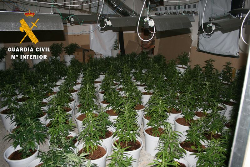 Liberan en la provincia de Salamanca dos vietnamitas explotados para cuidar una plantación de marihuana