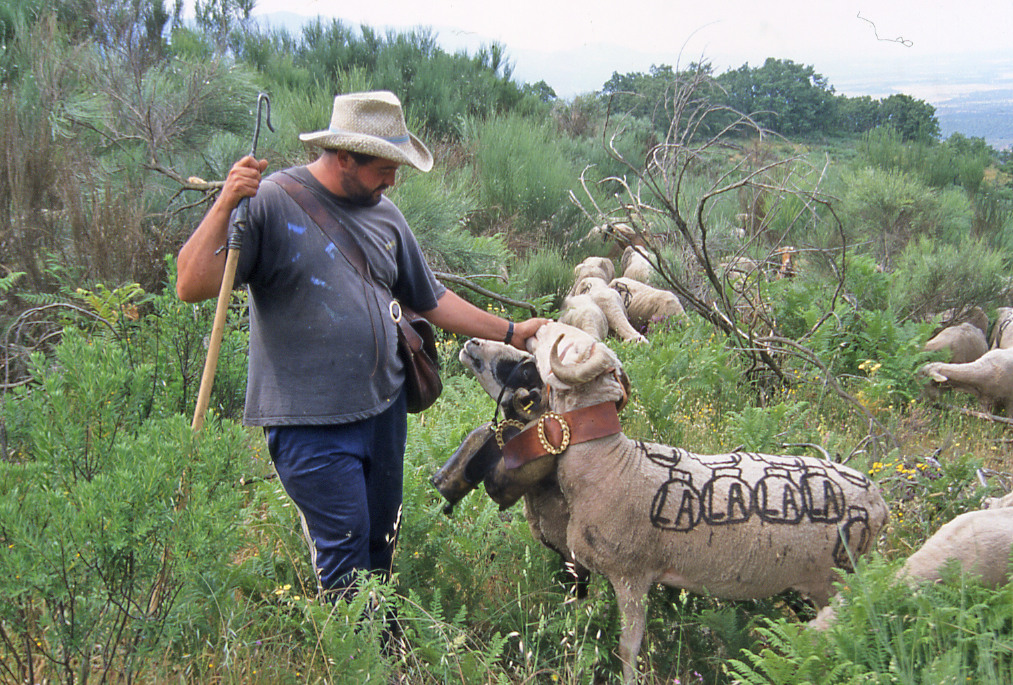 El medio natural y la trashumancia. 1. Los Itinerarios 