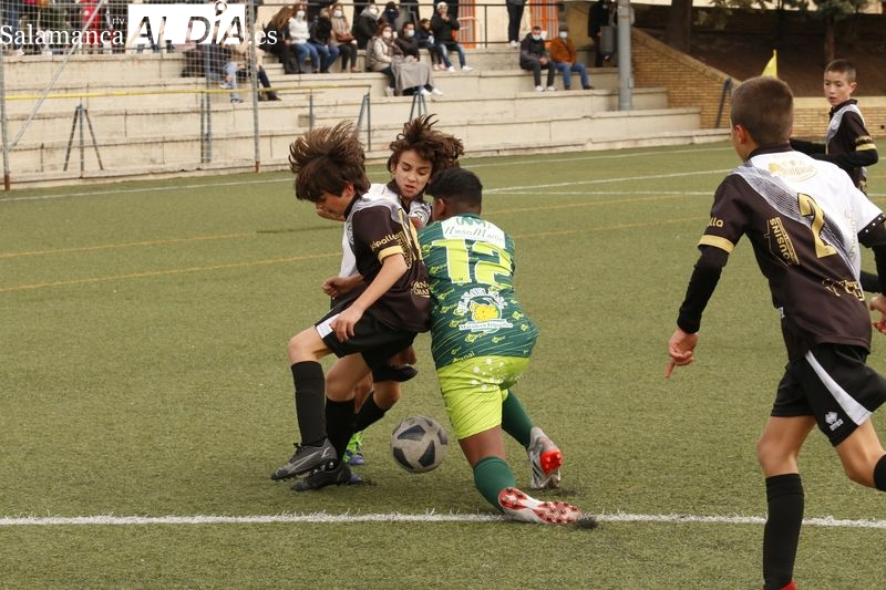 Consulta los resultados y clasificaciones del fútbol base provincial con las mejores imágenes