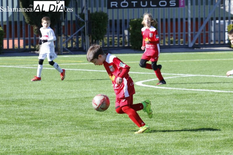 Consulta los resultados y clasificaciones del fútbol base provincial con las mejores imágenes