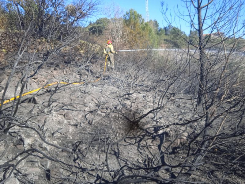 Aumentan los incendios forestales en la zona
