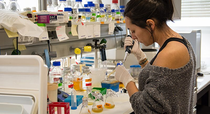 Llegan a Salamanca más de 15 millones de fondos europeos para investigación e innovación gracias a la USAL