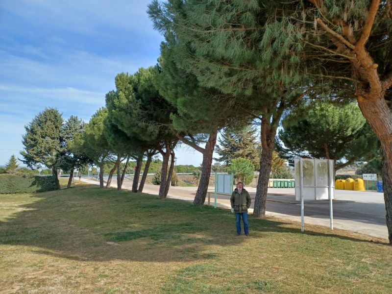 Carrascal de Barregas inicia la campaña de prevención contra la procesionaria