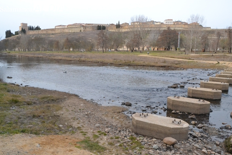 La sequía ya está causando pérdidas a los cultivos de secano y la ganadería en la provincia de Salamanca
