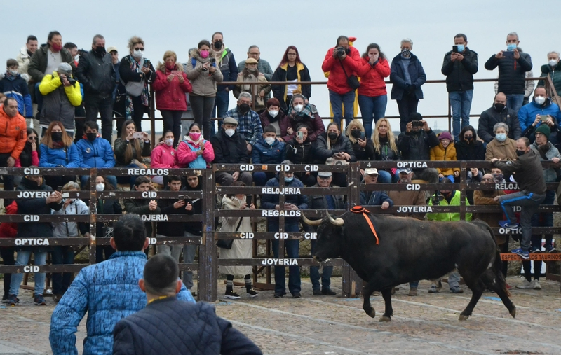 ‘Precioso’ deja el primer herido por asta de toro del Carnaval 2022