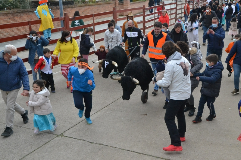 Los más pequeños se muestran incansables en su reencuentro con los astados