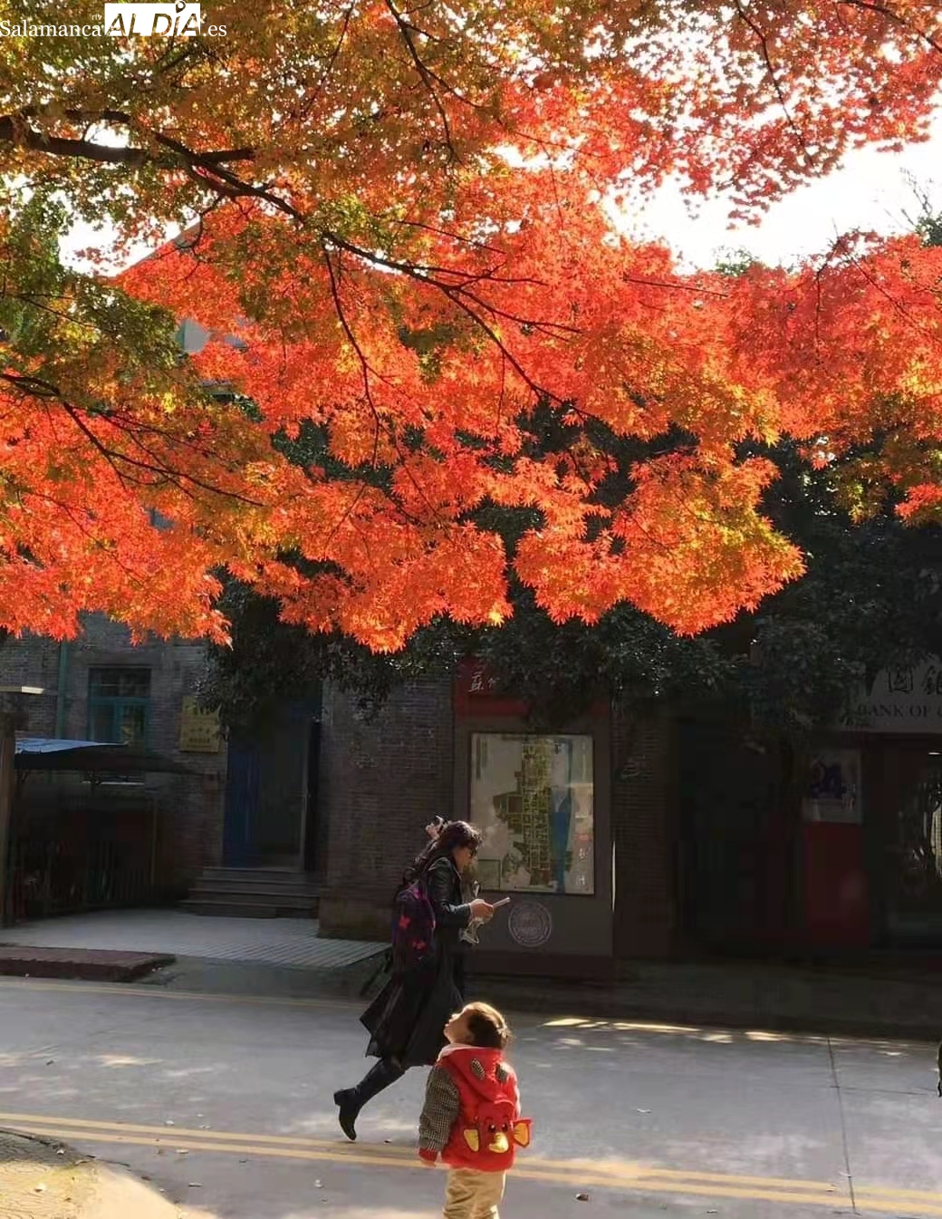 Poética sobre la vida como representación de la felicidad