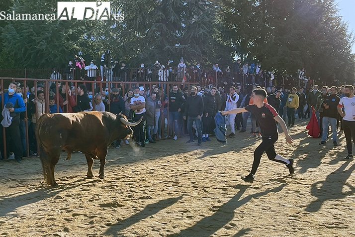 Babilafuente se abarrota de público y aficionados para vivir el esperado III Toro de San Blas