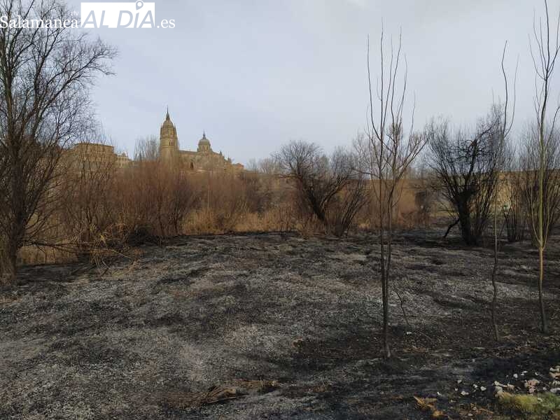 Los bomberos sofocan un incendio en el entorno del Puente Romano 