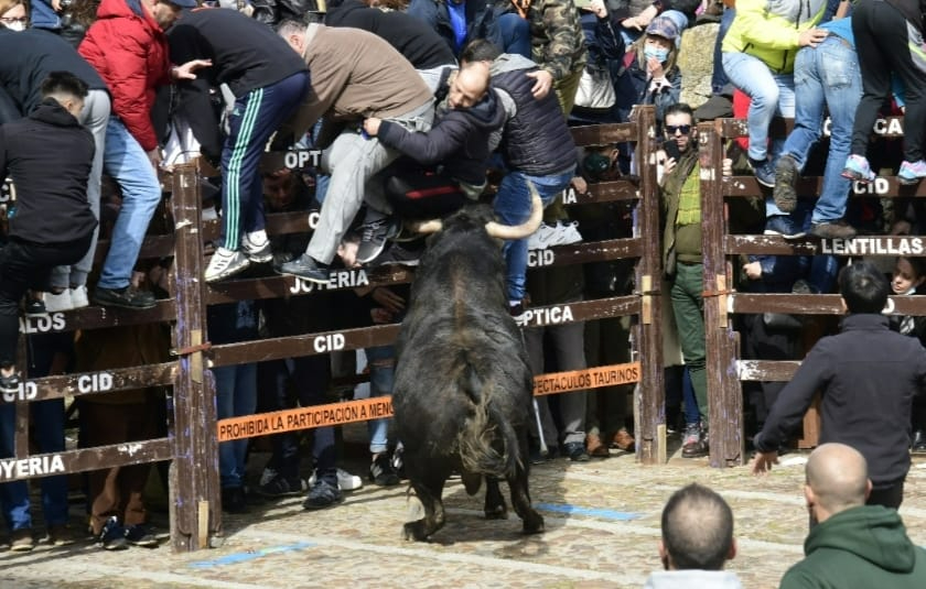 El primer encierro urbano alcanza la Plaza muy desperdigado