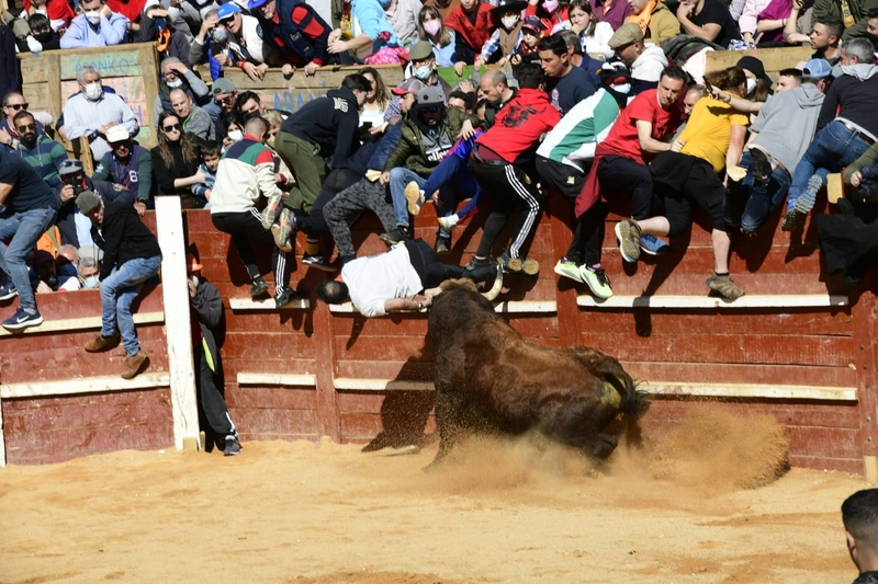 La capea matinal deja un herido por asta de toro