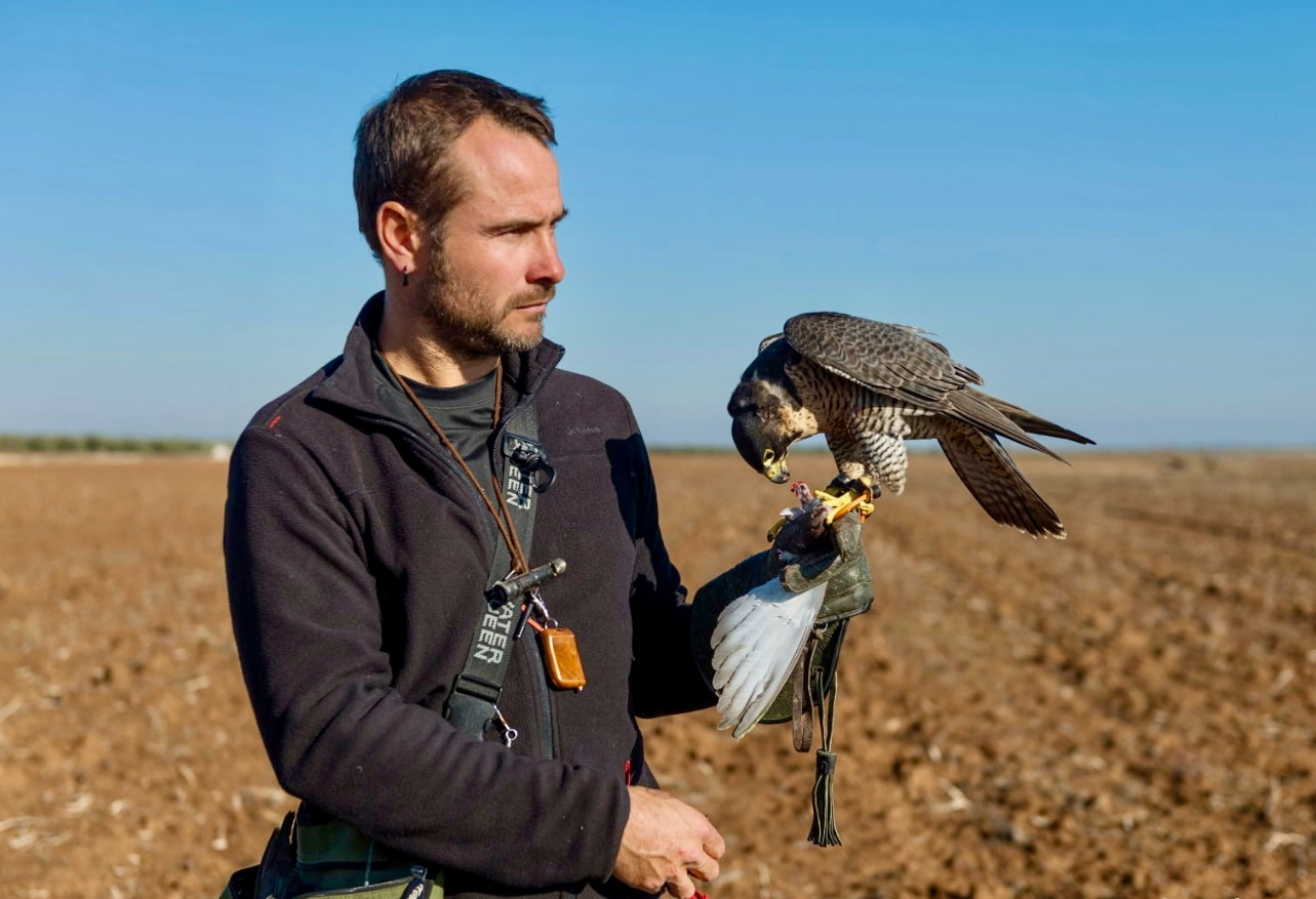 Gracias a Félix Rodríguez de la Fuente y el apoyo de mi familia he conseguido hacer de mi pasión por la cetrería una forma de vida