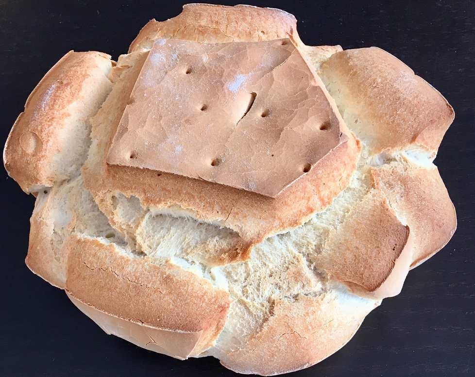 Familia: sí hay más de una