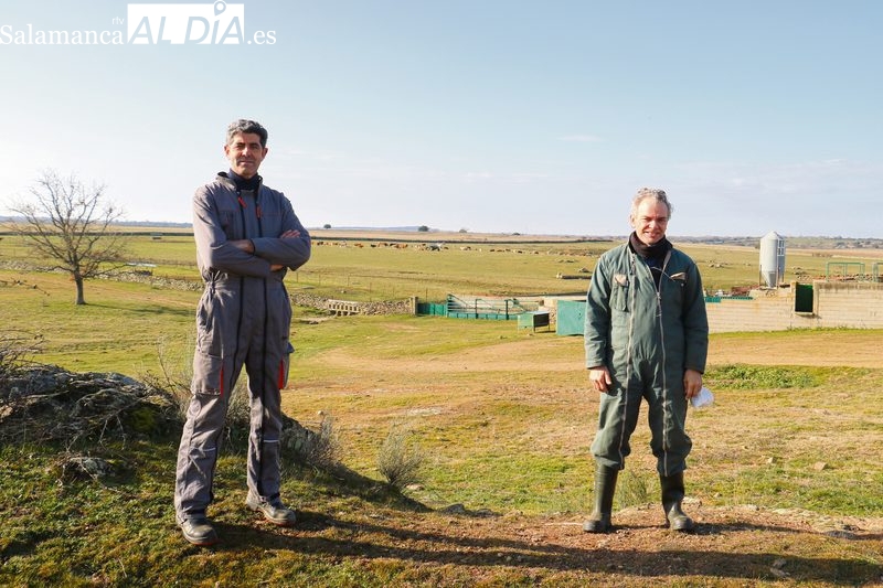Las ayudas no van encaminadas a que la gente se mantenga en el campo