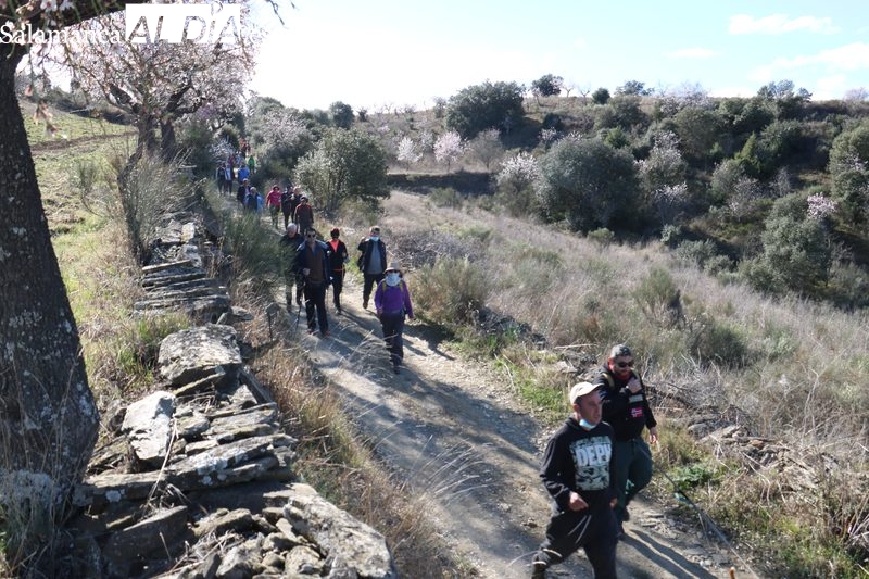 Más de 370 senderistas participan de la Marcha ‘Almendros en flor’ de La Fregeneda 