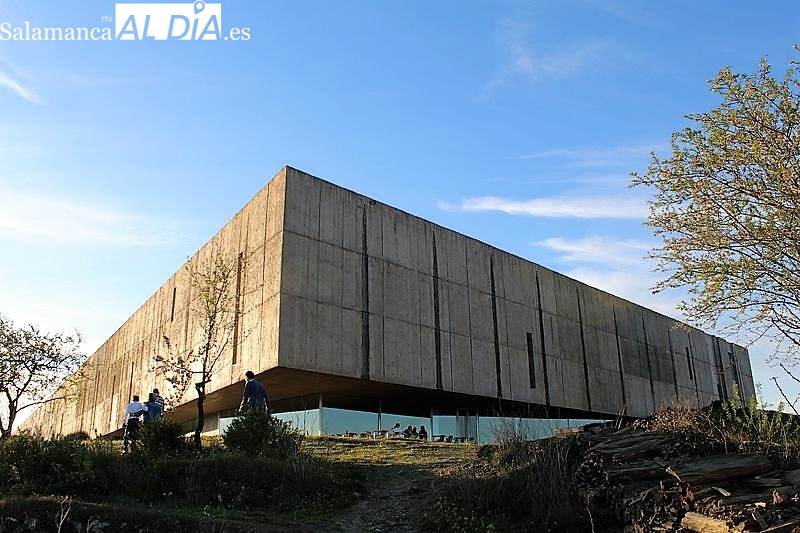 De la Roca al Museo, la pionera exposición española de arte prehistórico, ahora en el Museo del Côa