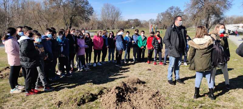 Los niños de Santa Marta colaboran en la creación de una zona arbolada en la Isla del Soto