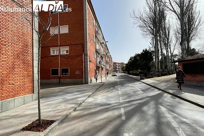 Finaliza la plantación de nuevos árboles en la Avenida Carlos I