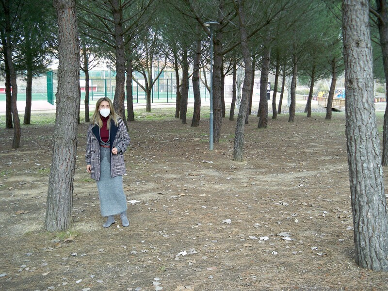 Comienza la campaña de prevención contra la oruga procesionaria 