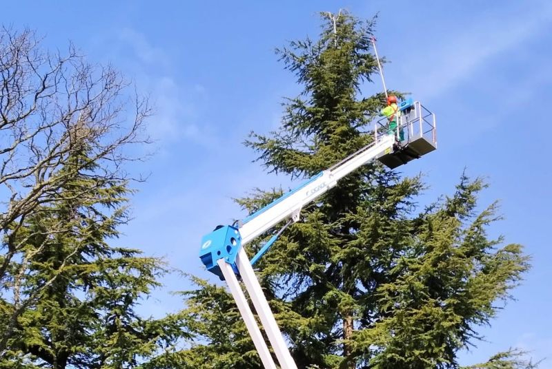 El Ayuntamiento de Salamanca, en plena campaña contra la oruga procesionaria