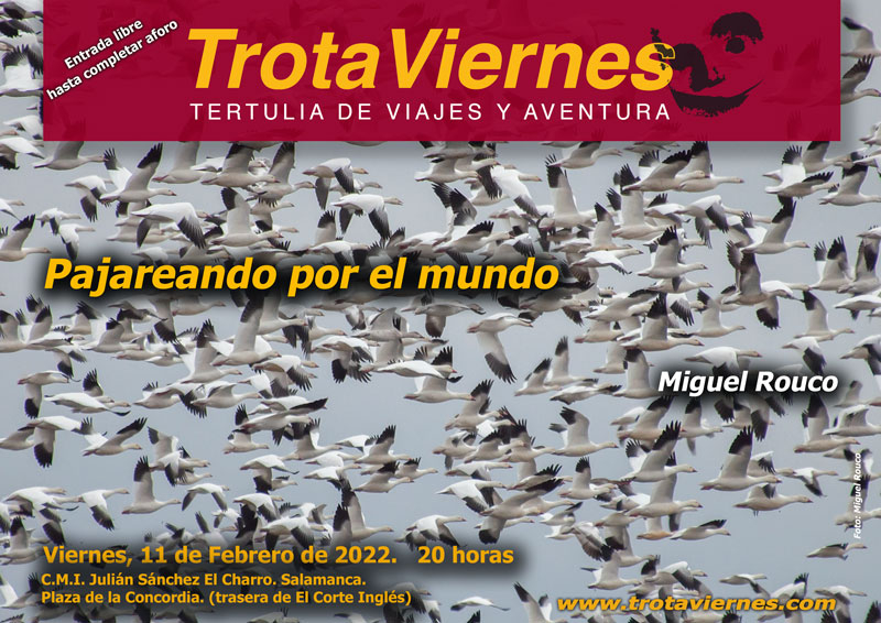 Pajareando por el mundo con TrotaViernes 