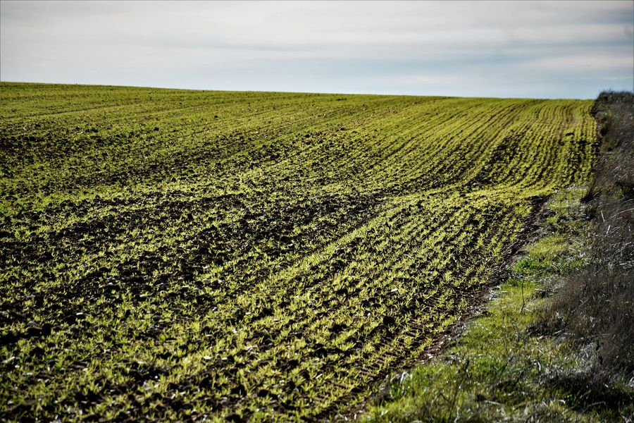 De los políticos y otros intensos 